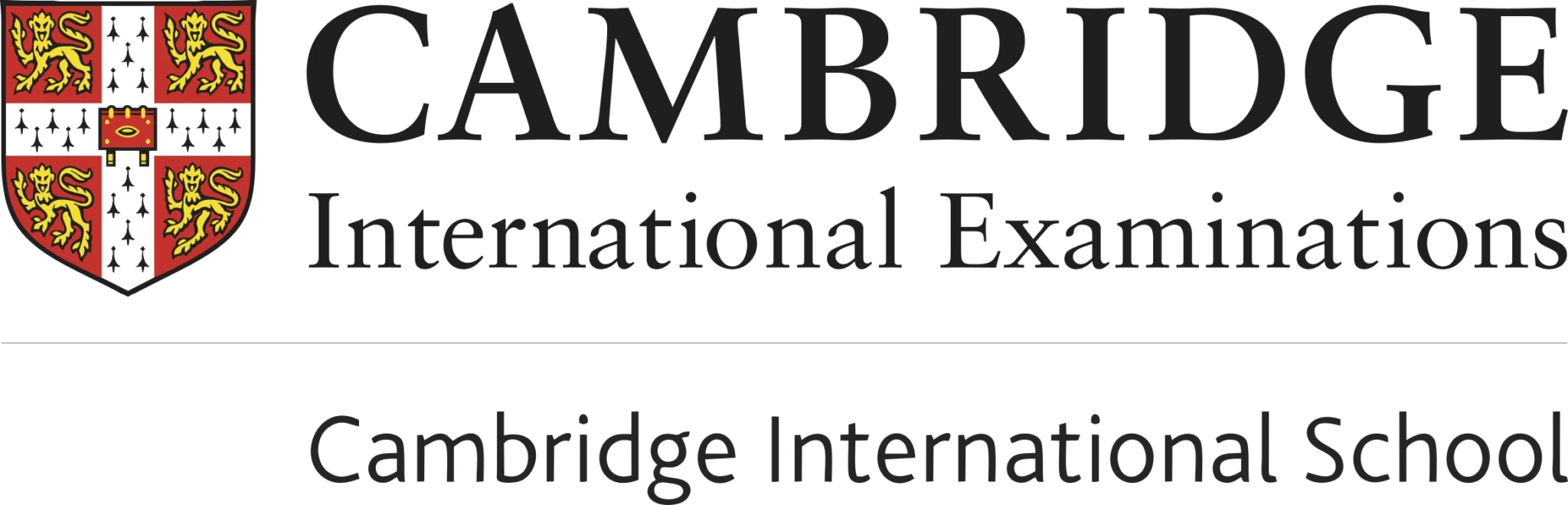 cambridge-international-school (1)